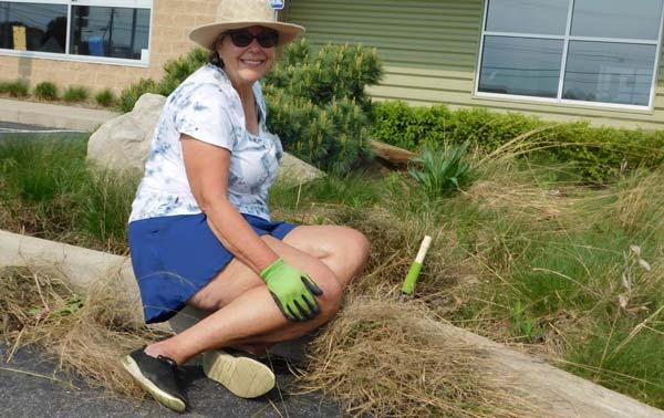 Second Harvest Gardening Volunteer Corp